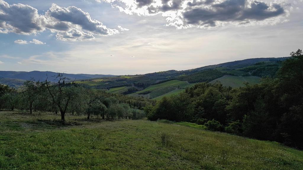 Holiday House Le Selvole Radda in Chianti Eksteriør bilde