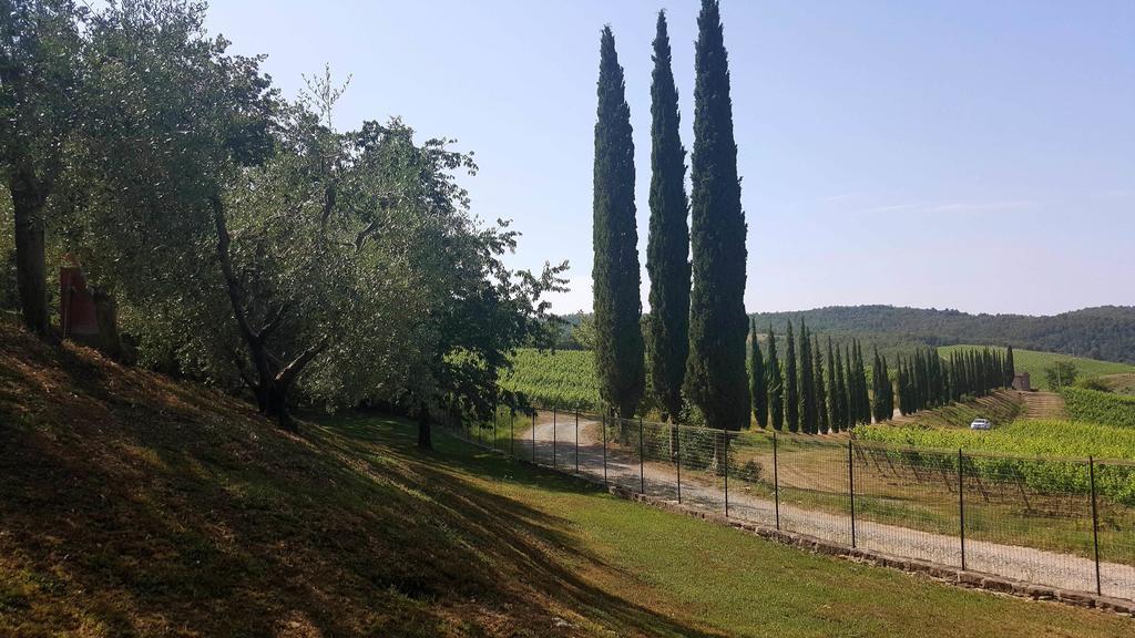 Holiday House Le Selvole Radda in Chianti Eksteriør bilde