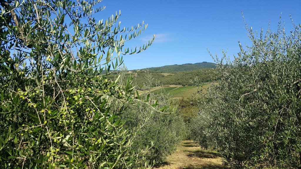 Holiday House Le Selvole Radda in Chianti Eksteriør bilde