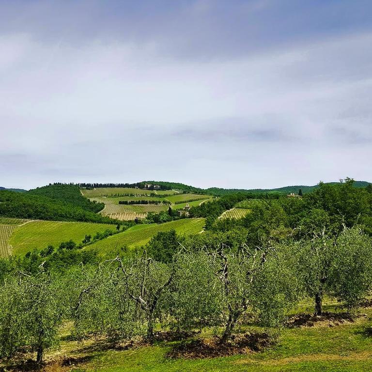 Holiday House Le Selvole Radda in Chianti Rom bilde