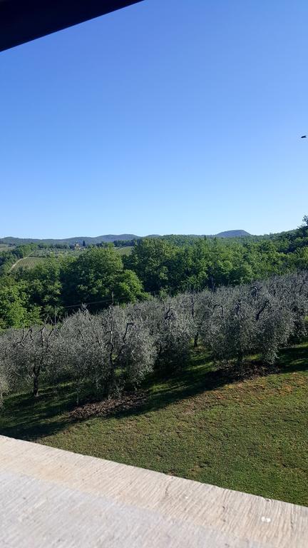 Holiday House Le Selvole Radda in Chianti Eksteriør bilde