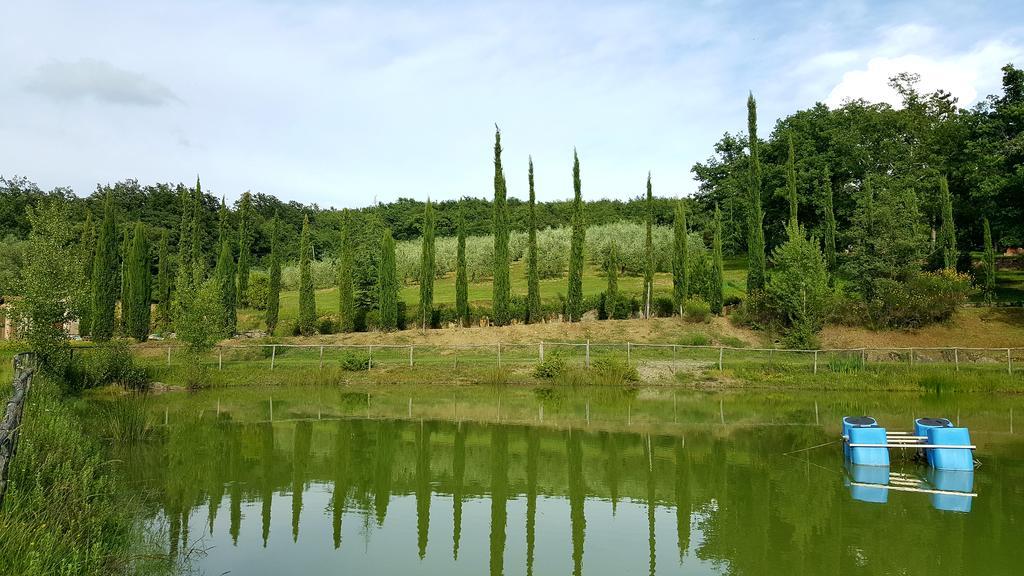 Holiday House Le Selvole Radda in Chianti Eksteriør bilde